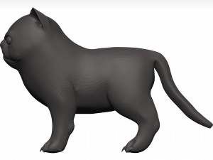 Cat Model 3D