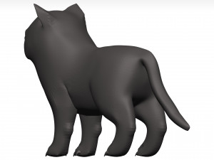 Cat Model 3D