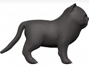 Cat Model 3D