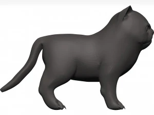 Cat 3D Model