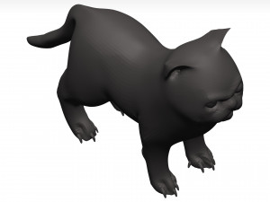 Cat Model 3D