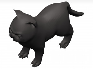 Cat Model 3D