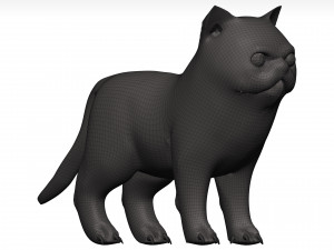 Cat Model 3D