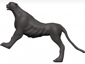 Cheetah 3D Model