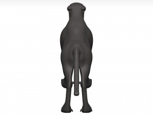 Cheetah 3D Model