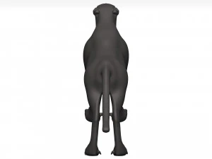 Cheetah 3D Model