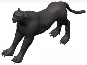 Cheetah 3D Model