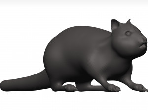 Chipmung 3D Model