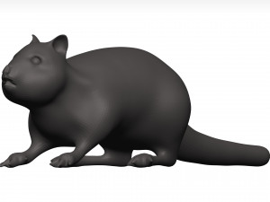 Chipmung 3D Model