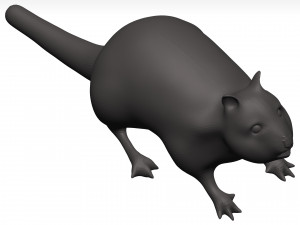 Chipmung 3D Model