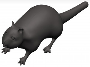 Chipmung 3D Model