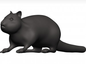 Chipmung 3D Model