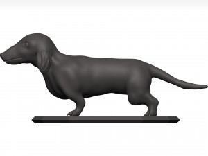 Dachshund 3D Model
