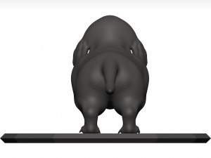 Dachshund 3D Model