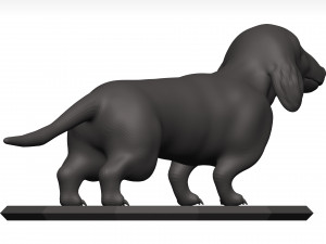 Dachshund 3D Model