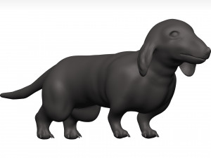 Dachshund 3D Model