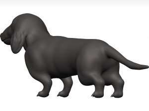 Dachshund 3D Model