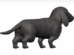Dachshund 3D Model