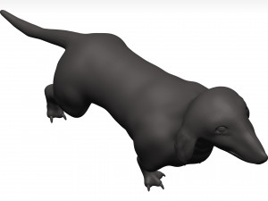 Dachshund 3D Model