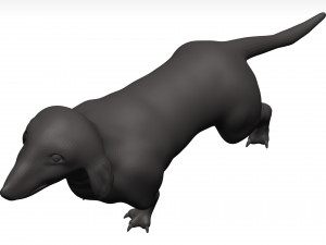 Dachshund 3D Model