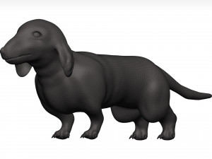 Dachshund 3D Model