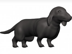 Dachshund 3D Model
