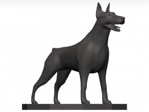 Doberman Modèle 3D