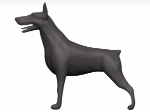 Doberman 3D Model