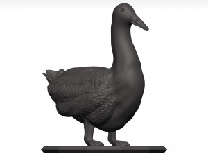 Duck 3D Model