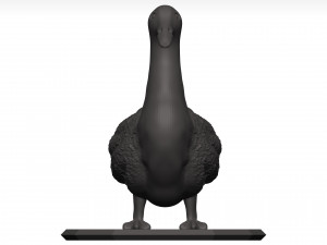 Duck 3D-Modell