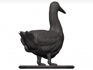 Duck 3D-Modell