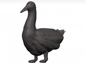 Duck 3D-Modell