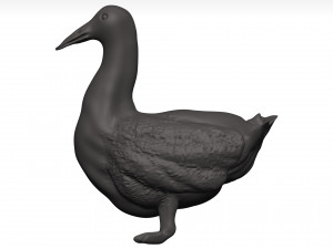 Duck 3D-Modell