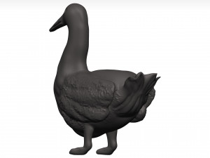 Duck 3D-Modell