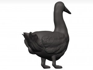 Duck 3D-Modell
