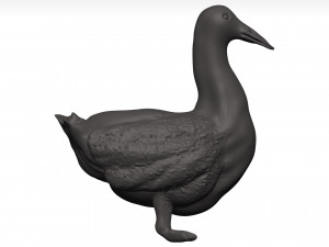 Duck 3D-Modell