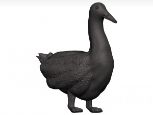 Duck 3D-Modell