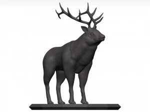 Wapiti Modèle 3D