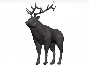 Elk 3D Model