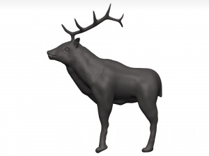 Elk 3Dモデル