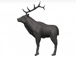 Elk 3D Model