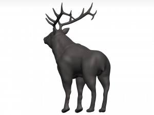 Elk 3Dモデル