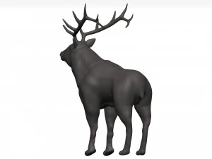 Elk 3D Model