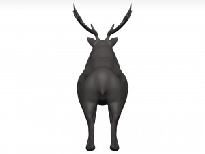 Elk 3Dモデル