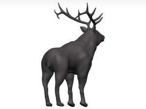 Elk 3Dモデル
