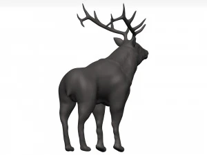 Elk 3D Model