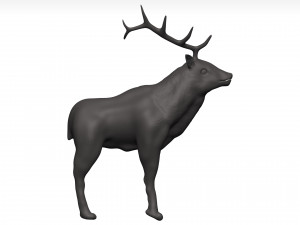 Elk 3Dモデル