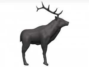 Elk 3D Model