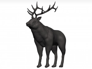 Elk 3Dモデル