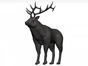 Elk 3D Model